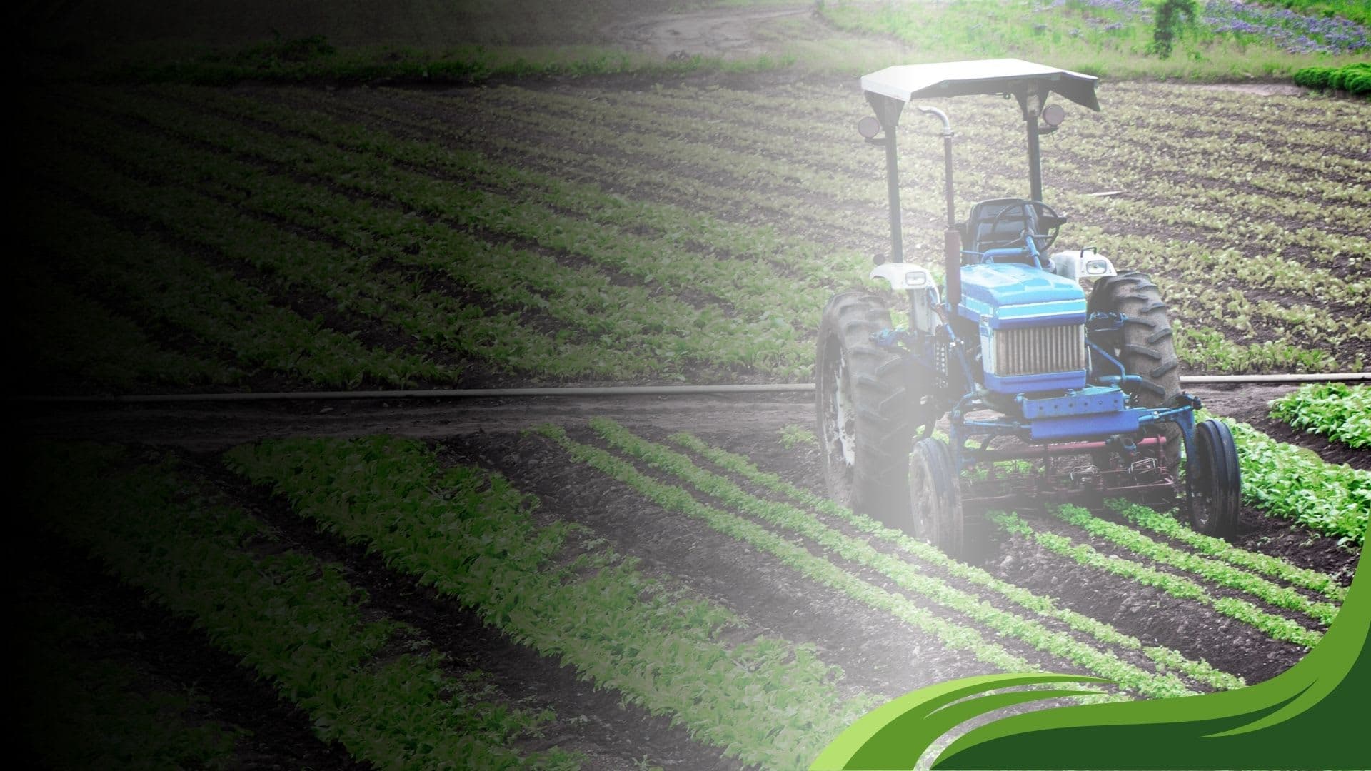 Transforming Agriculture Through Smart Investment